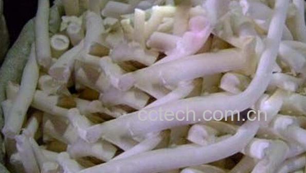 果蔬百科通草下奶有副作用吗-0