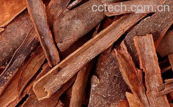 果蔬百科桂皮的功效与作用-0