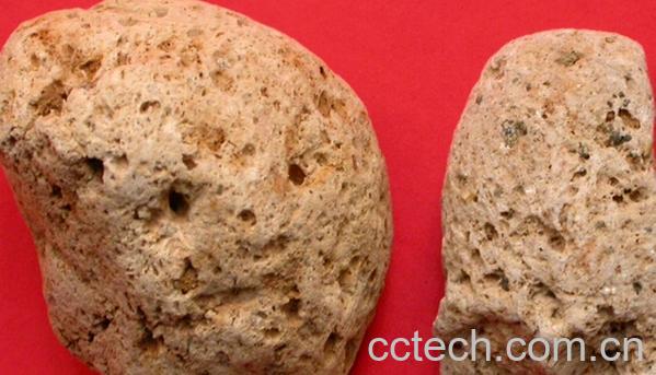 果蔬百科海浮石的功效与作用-0