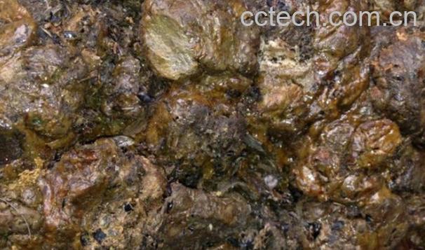 果蔬百科蜂胶的副作用-0