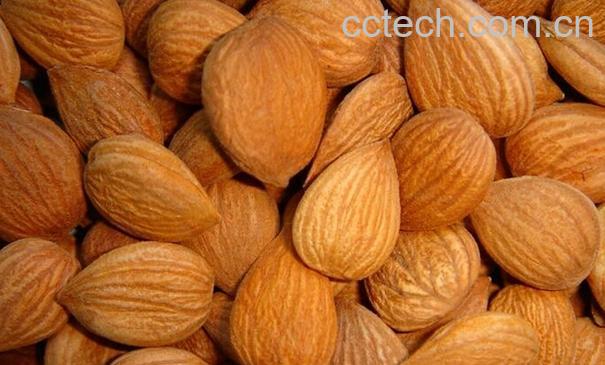 果蔬百科苦杏仁怎么吃-0