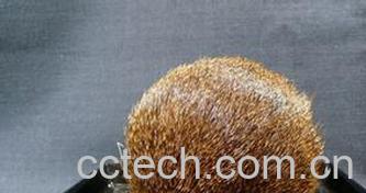 果蔬百科中药麝香性味归经 功效作用及应用-0