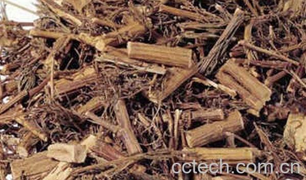 果蔬百科六月雪的功效与作用-0