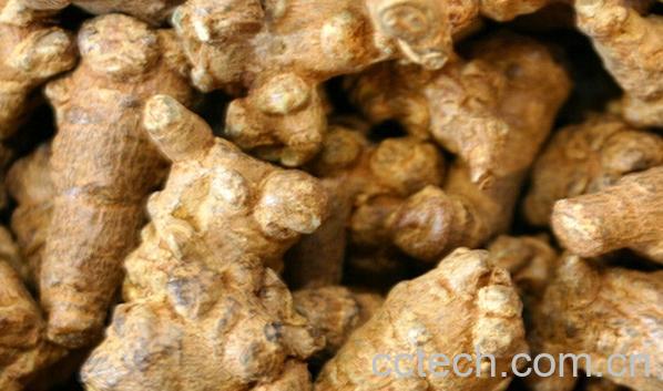 果蔬百科吃三七能去老年斑吗-0