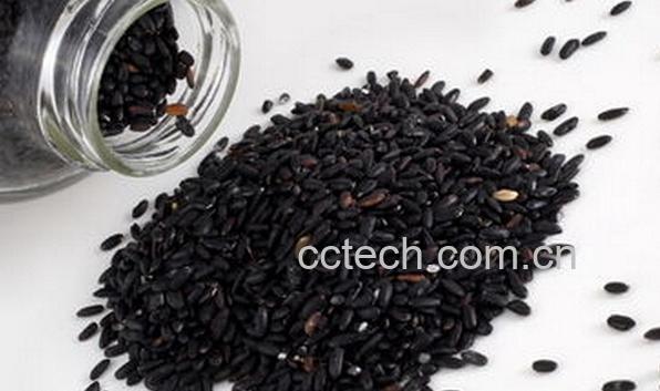 果蔬百科芝麻的功效与作用-0