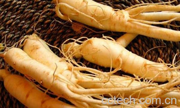 果蔬百科西洋参壮阳吗-0