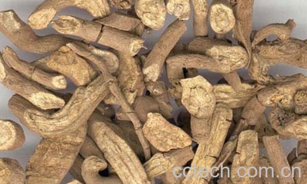 果蔬百科木香的功效与作用-0