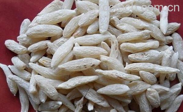 果蔬百科麦冬泡水喝的功效 麦冬泡水喝的禁忌-0