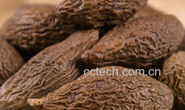 果蔬百科胖大海能吃吗-0