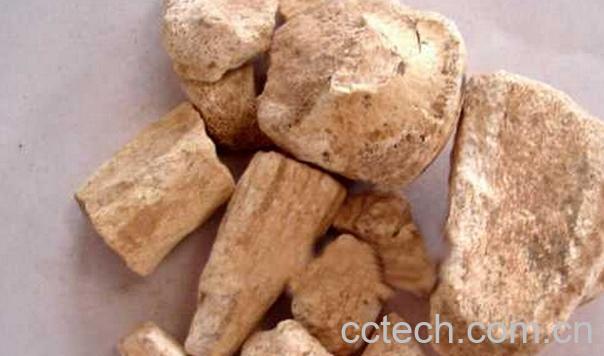 果蔬百科中药龙骨的功效与作用-0