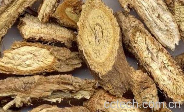 果蔬百科中药防风的功效与作用-0