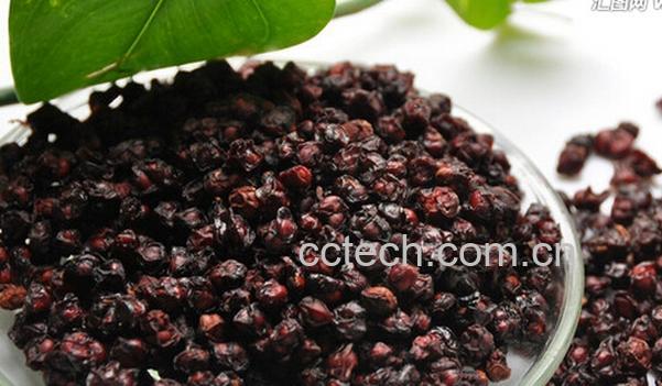 果蔬百科五味子怎么吃好-0