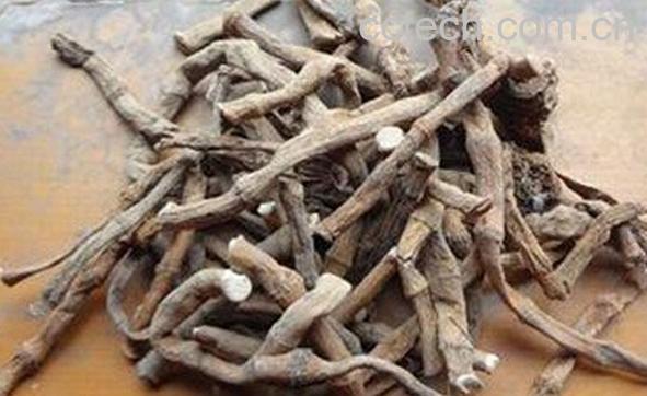 果蔬百科三白草根-0