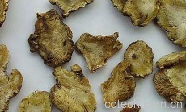 果蔬百科中药独活-0