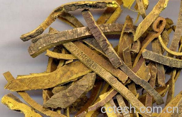 果蔬百科羊胆-0