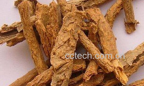 果蔬百科地骨皮-0