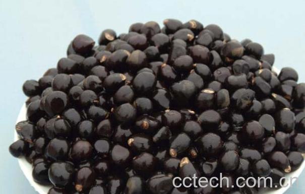 果蔬百科五味子泡水喝的禁忌-0