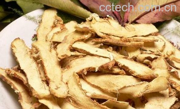 果蔬百科知母-0