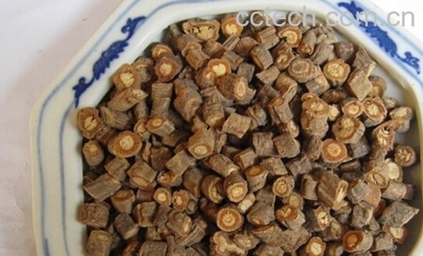 果蔬百科中药防风-0