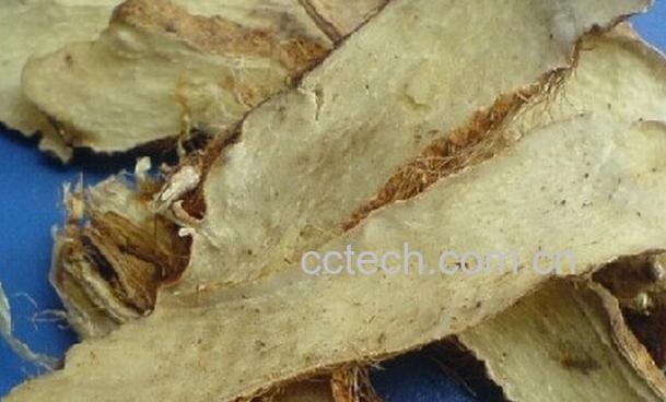 果蔬百科中药知母-0