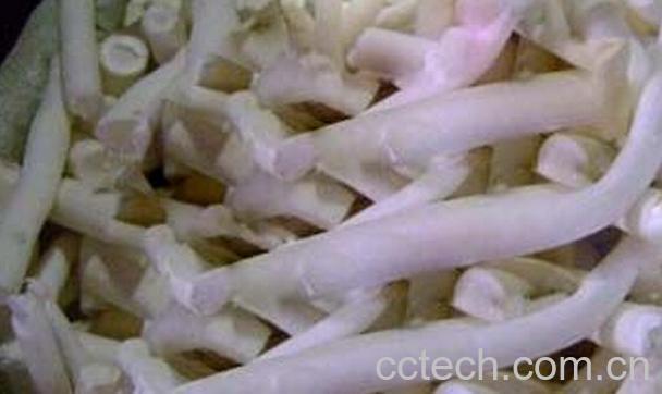 果蔬百科通草的功效与作用-0