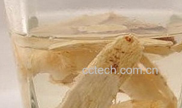 果蔬百科黄芪泡水喝的禁忌-0