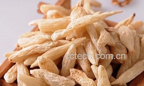 果蔬百科麦冬泡水喝-0