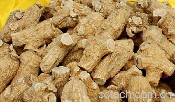 果蔬百科花旗参泡水-0