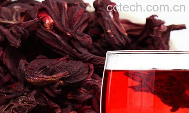 果蔬百科玫瑰茄泡水喝的功效-0