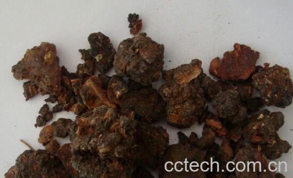 果蔬百科中药没药-0