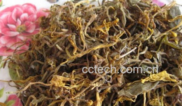 果蔬百科金银花泡澡-0