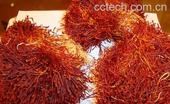 果蔬百科藏红花泡水喝-0