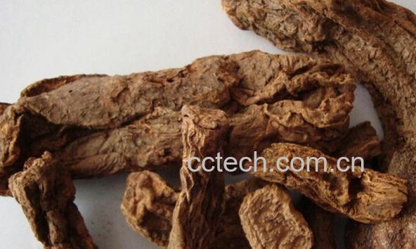 果蔬百科锁阳-0