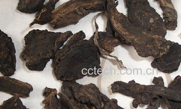 果蔬百科制草乌-0