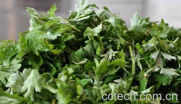 果蔬百科艾叶泡脚-0