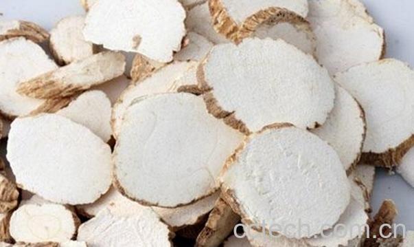 果蔬百科白芷的功效与作用全析-0