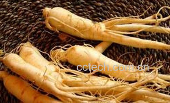 果蔬百科老人吃什么补品好-0