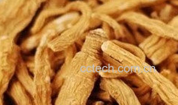 果蔬百科雪人参-0