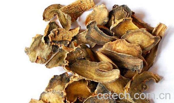 果蔬百科当归片可以泡水喝吗-0