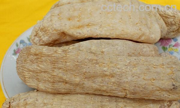 果蔬百科天麻-0