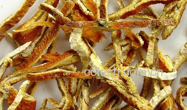 果蔬百科陈皮-0