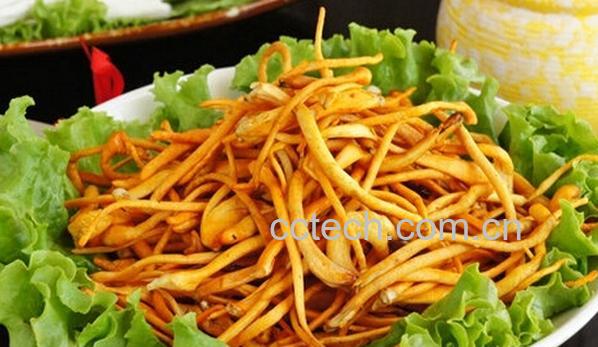 果蔬百科虫草菇-0