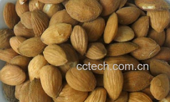 果蔬百科中药炒桃仁-0