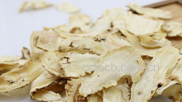 果蔬百科当归-0