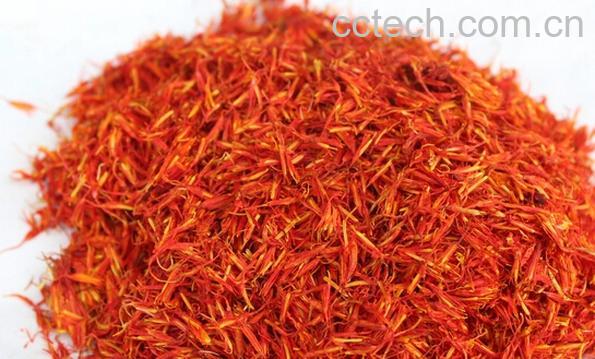 果蔬百科红花-0