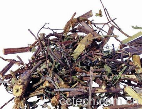 果蔬百科甘草-0