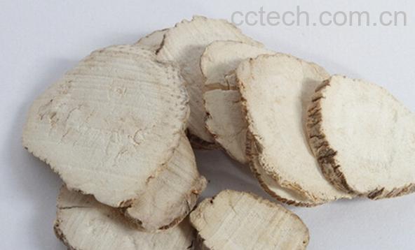 果蔬百科白芷-0