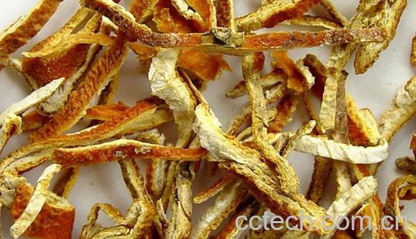 果蔬百科陈皮-0