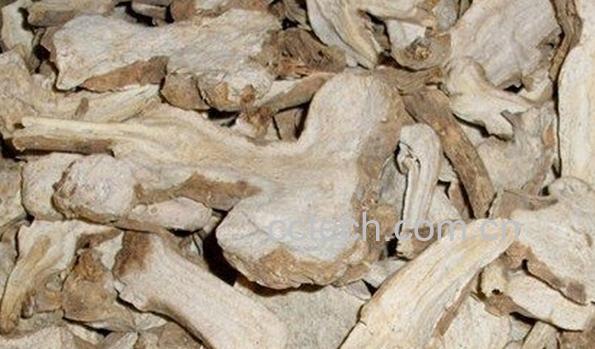 果蔬百科白术-0