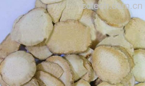 果蔬百科泽泻-0